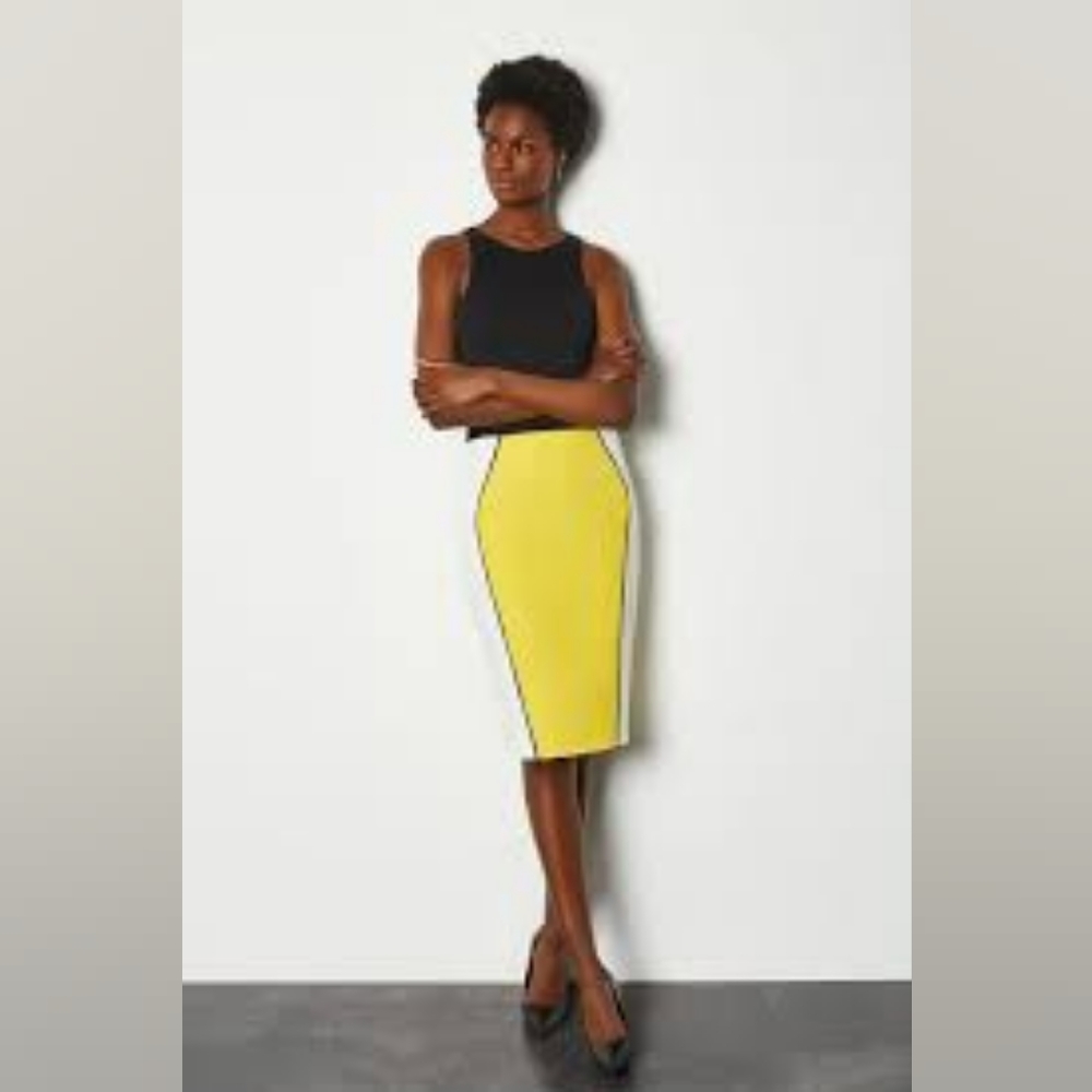 Brand New with Tags Karen Millen Colour Block Pencil Skirt US 8 (UK12)